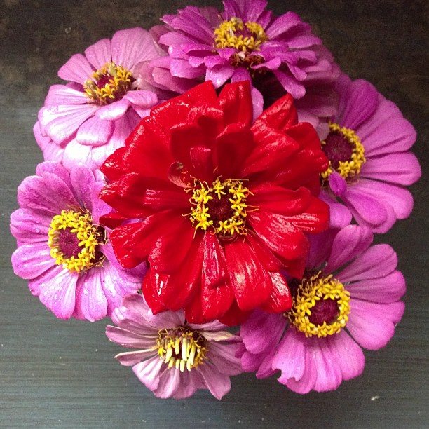 13139217_10153416798431268_3889835214205767659_n